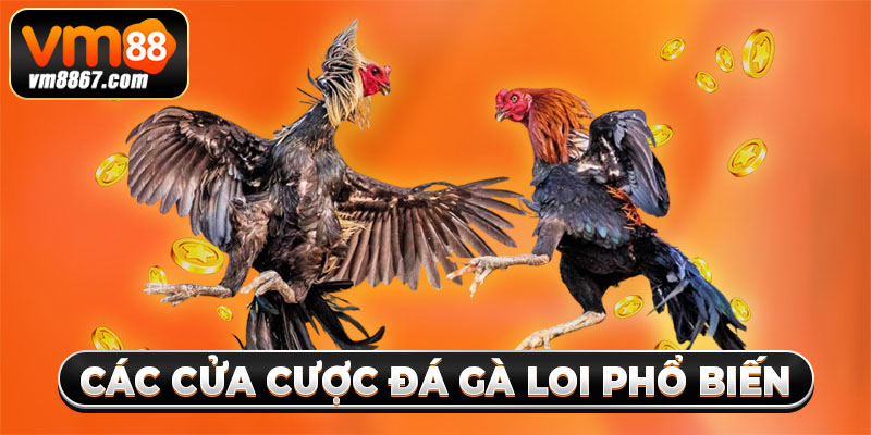 Trải Nghiệm Cá Cược Đá Gà Loi Săn Thưởng Khủng Cùng Vm88 2 Các cửa cược đá gà loi phổ biến