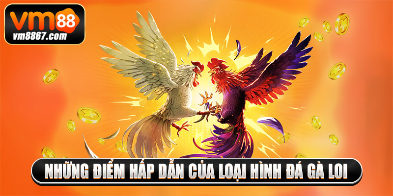 Trải Nghiệm Cá Cược Đá Gà Loi Săn Thưởng Khủng Cùng Vm88 3 Những điểm hấp dẫn của loại hình đá gà loi