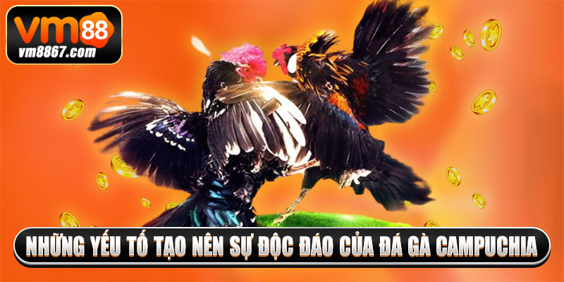 Những yếu tố tạo nên sự độc đáo của đá gà Campuchia